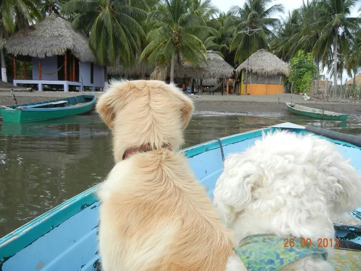 Eco-Hotel Playa Quilombo Las Lisas Ngoại thất bức ảnh